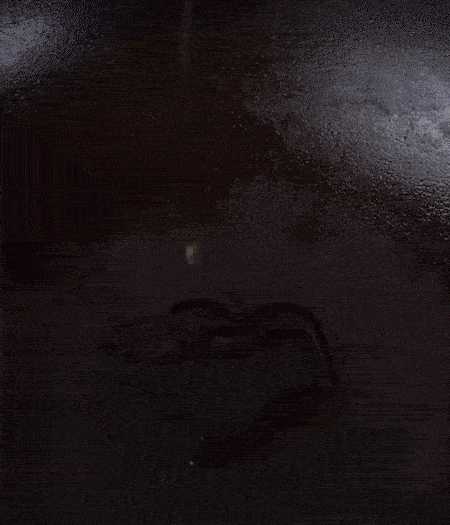 冷鍋熱油，下蒜片爆香，下香腸、玉米筍、蓮藕、西芹爆炒，期間加點水，翻炒1分鐘后加新鮮百合片，翻炒30秒。